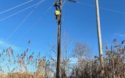Oakland City Storm Response