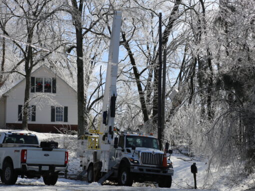 Winter Storm Fern Response